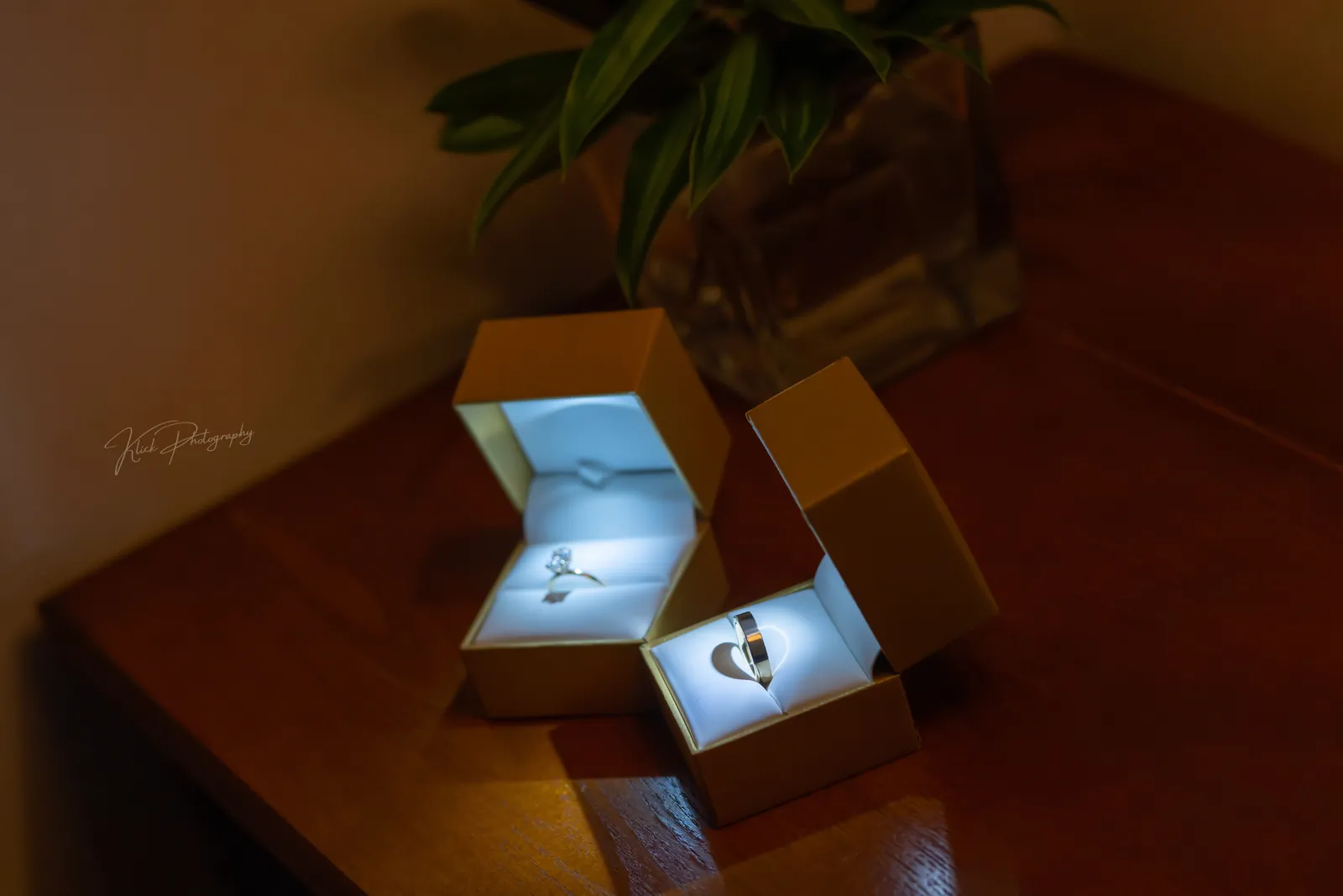 Wedding rings presented in their box, detail shot